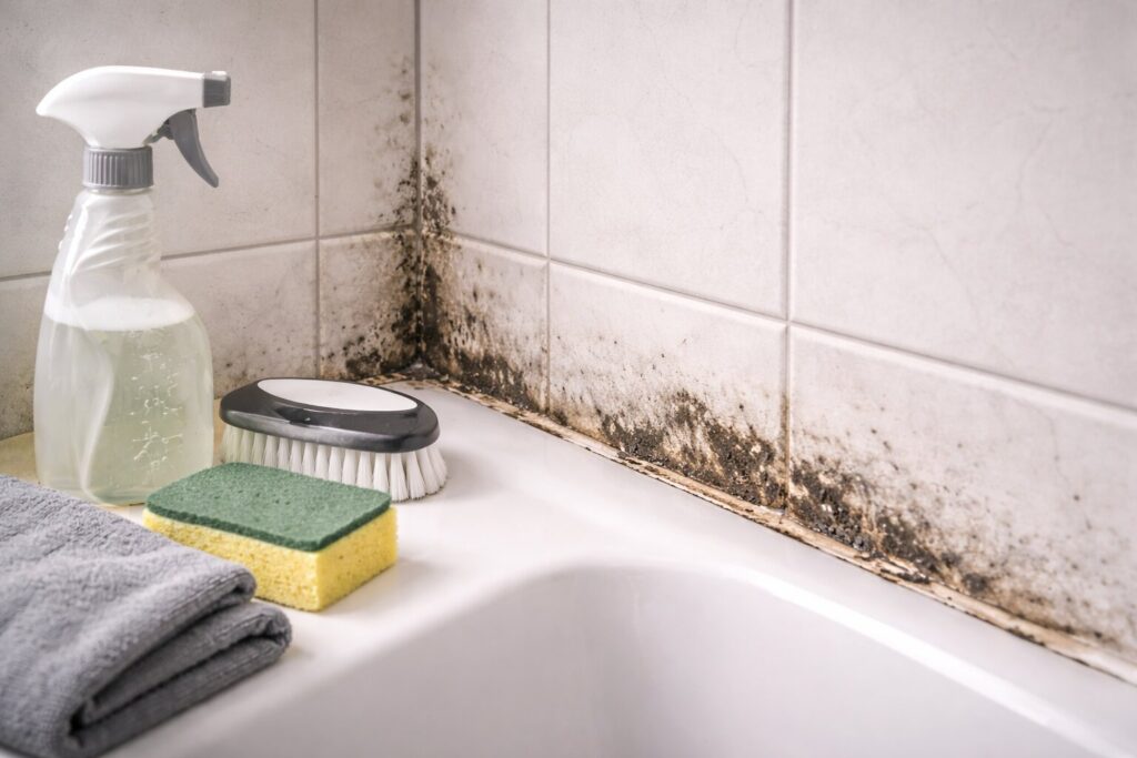 badkamer schimmel