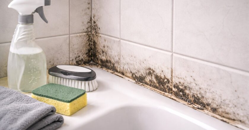 Badkamer schimmel voorkomen en verwijderen zonder je interieur aan te tasten